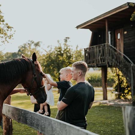 Treehouse Drevesna Hiska Strkovo Gnezdo Ranc Jures Hotel Лютомер Екстериор снимка