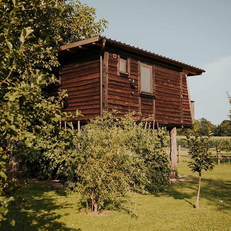 Treehouse Drevesna Hiska Strkovo Gnezdo Ranc Jures Hotel Лютомер Екстериор снимка