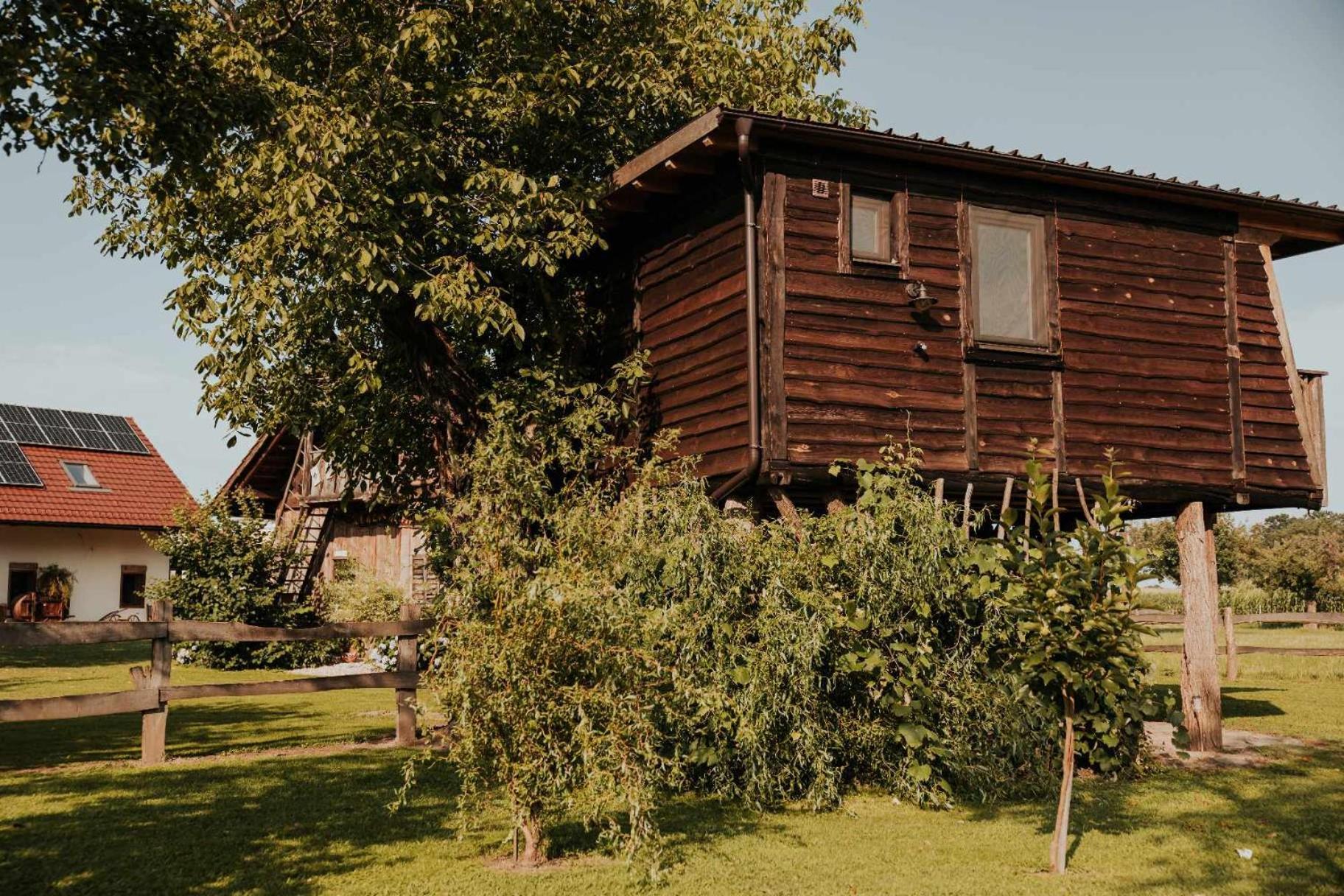 Treehouse Drevesna Hiska Strkovo Gnezdo Ranc Jures Hotel Лютомер Екстериор снимка