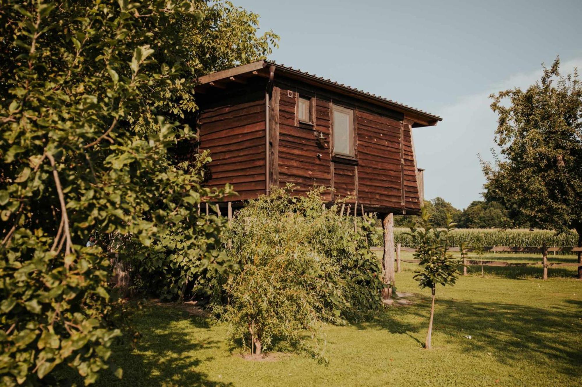 Treehouse Drevesna Hiska Strkovo Gnezdo Ranc Jures Hotel Лютомер Екстериор снимка