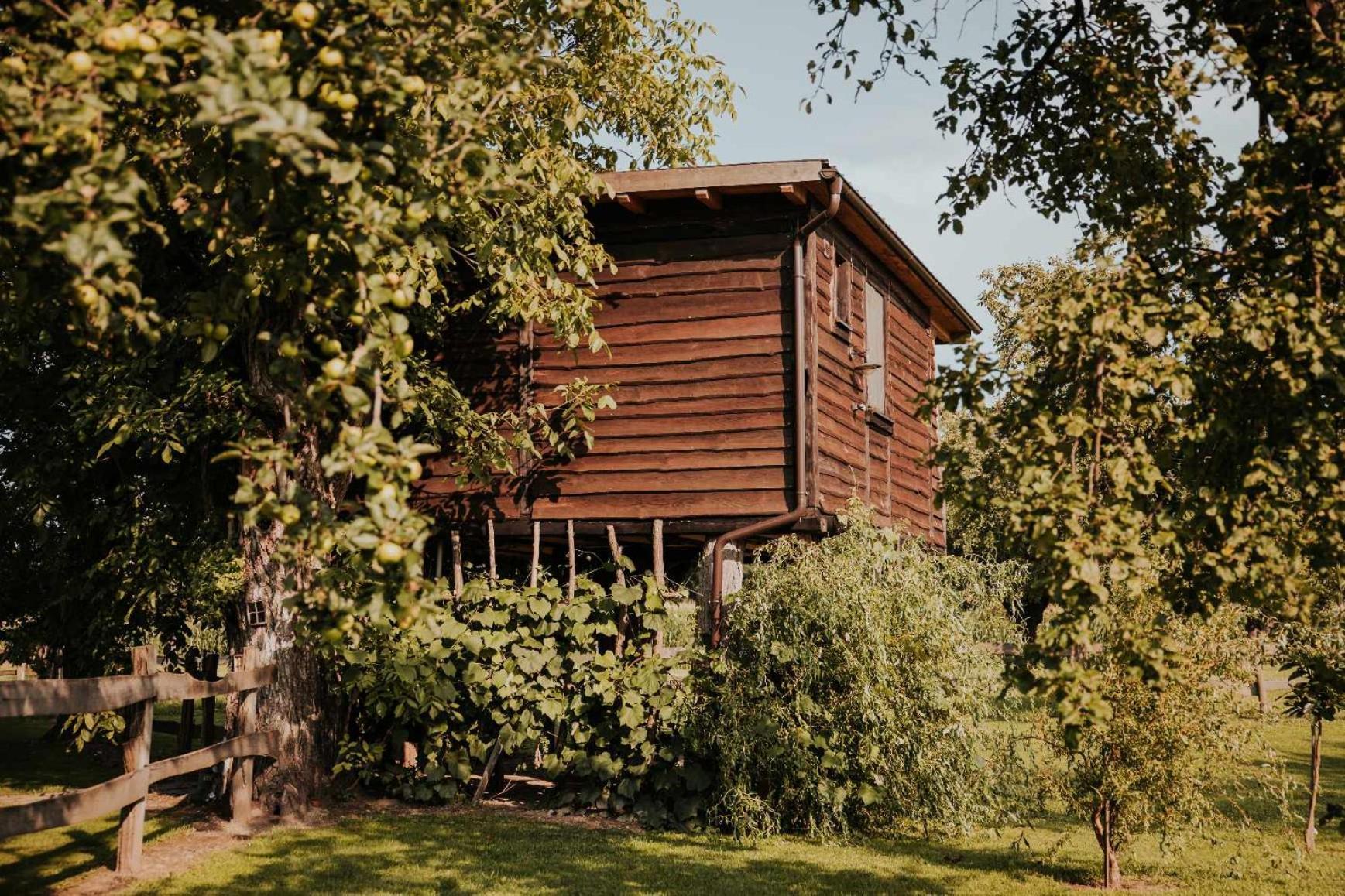 Treehouse Drevesna Hiska Strkovo Gnezdo Ranc Jures Hotel Лютомер Екстериор снимка